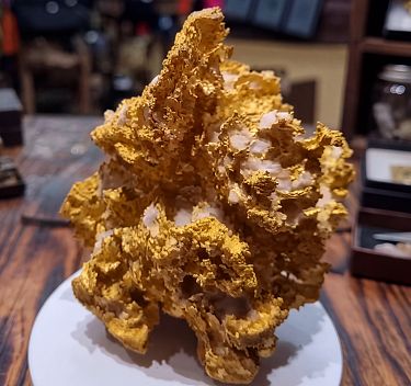 Eine Weltpremiere: das 2,1-Kilogramm-Goldnugget