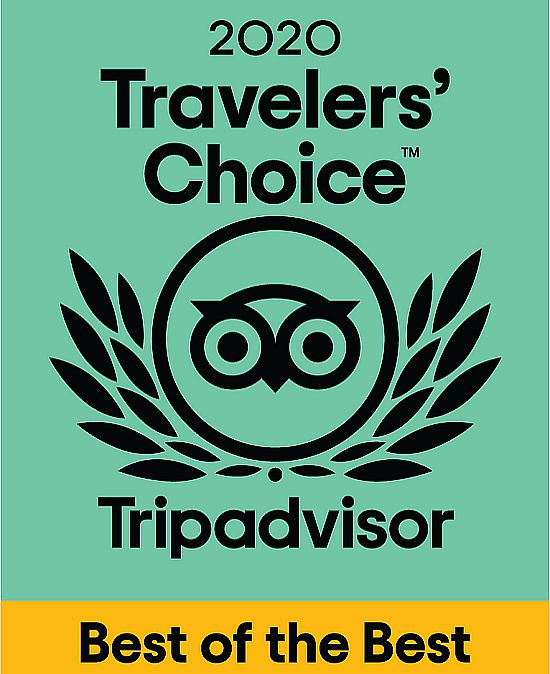 Travelers' Choice Award 2020