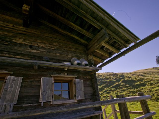 Stangl Alm pasture