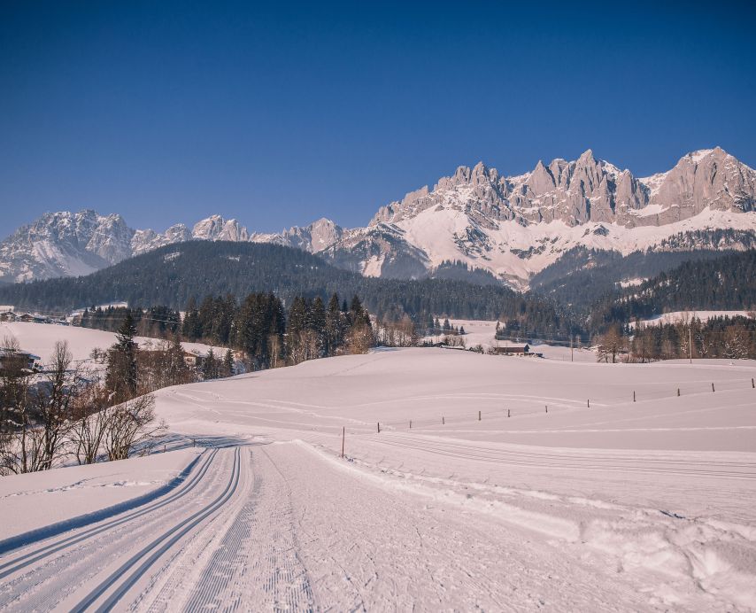 Cross-country skiing at the foot of the