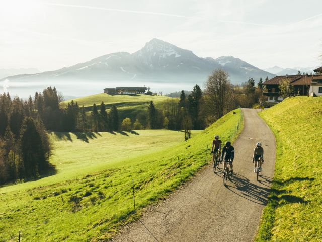 Mountainbike-Paradies